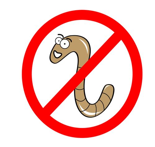 No worms sign