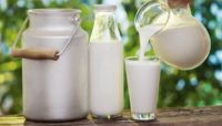Буковинці – лідери за споживанням молока в Україні