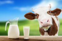Виробляти молоко в Україні стає все більш невигідним
