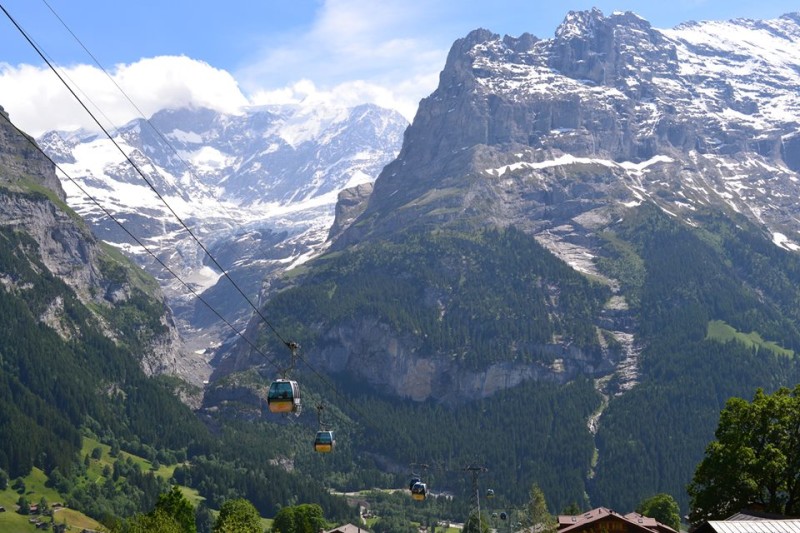 10735868_720520721375857_1373423521_n