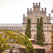 обмеженого корстування