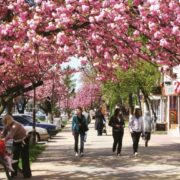 спеціального призначення1